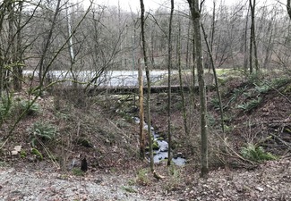 Small creek off roadside