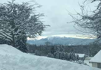 Snow covered vista