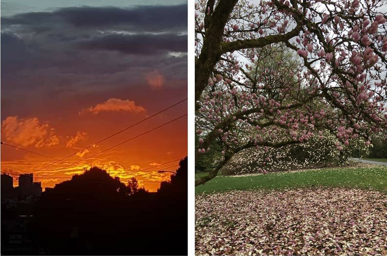 Two images: first is of a sunset over a city and second is a cherry blossom