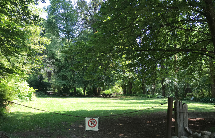 Verdant green lawn surrounded by trees