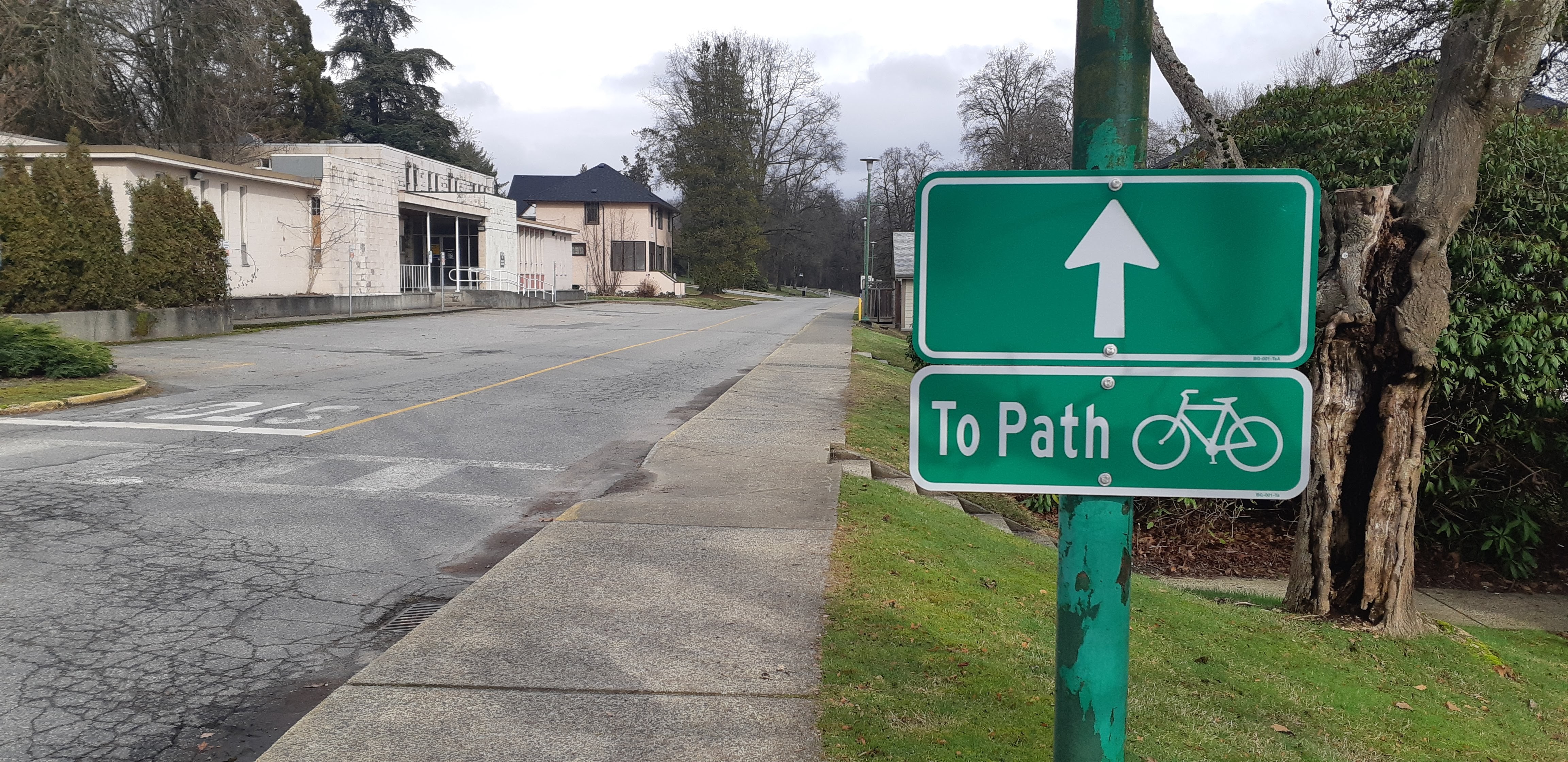 Next to a couple buildings and road is a green sign with white arrow pointing to the new Designated Cycling Route