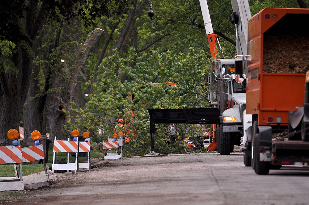 A road lined with tress beside trucks and bollards for tree maintenance