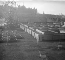 Raised garden beds at Essondale 1911-1916