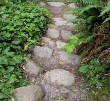 Stone Path in Finnies Garden