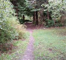 Trail to Finnies Garden